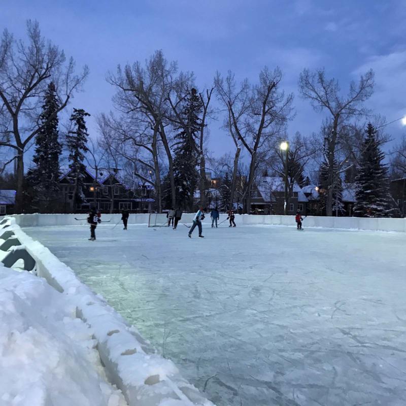 Elbow Park Skating (2021) Lisa Poole