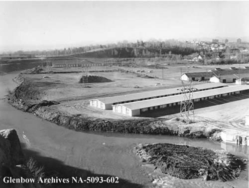 View of Stampede Grounds from Scotchman's Hill (1958) Glenbow